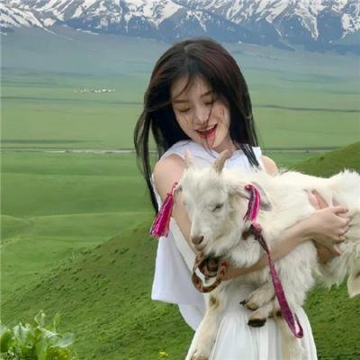 趣味游戏美国版